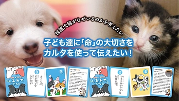 楽しく学べる動物福祉啓発カルタを作り、子どもたちに届けたい！ のトップ画像
