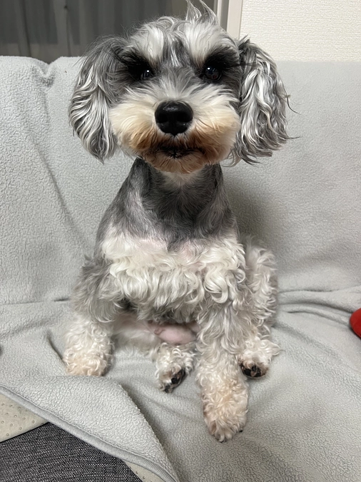 代行支援についてご案内します