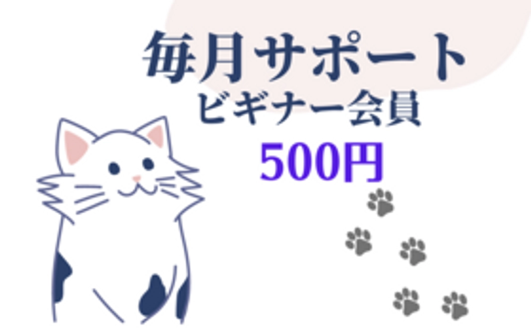 毎月500円：ビギナー会員