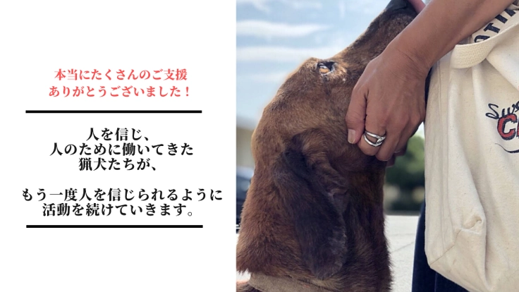 山に捨てられる猟犬たち。一頭でも多くの命を救いたい！