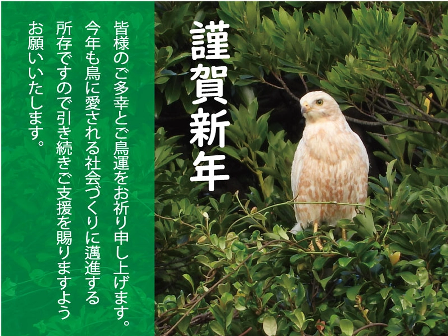 【謹賀新年】サシバへのご支援ありがとうございます！