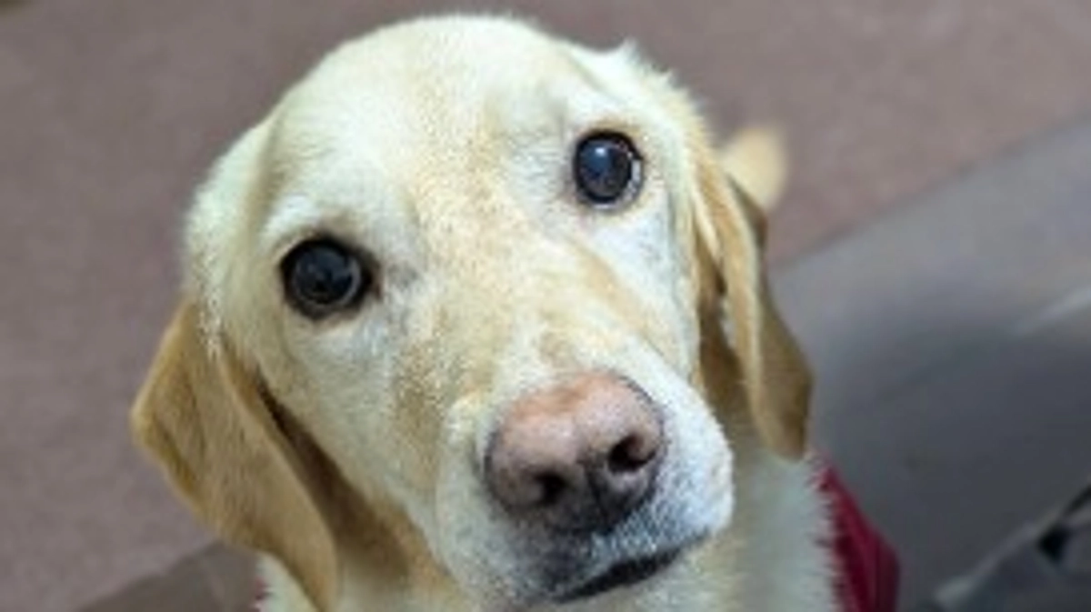 あけましておめでとうございます