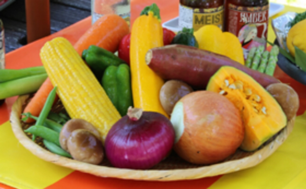 丹後の【新鮮地野菜定期便】で丹後王国応援！12,000円コース