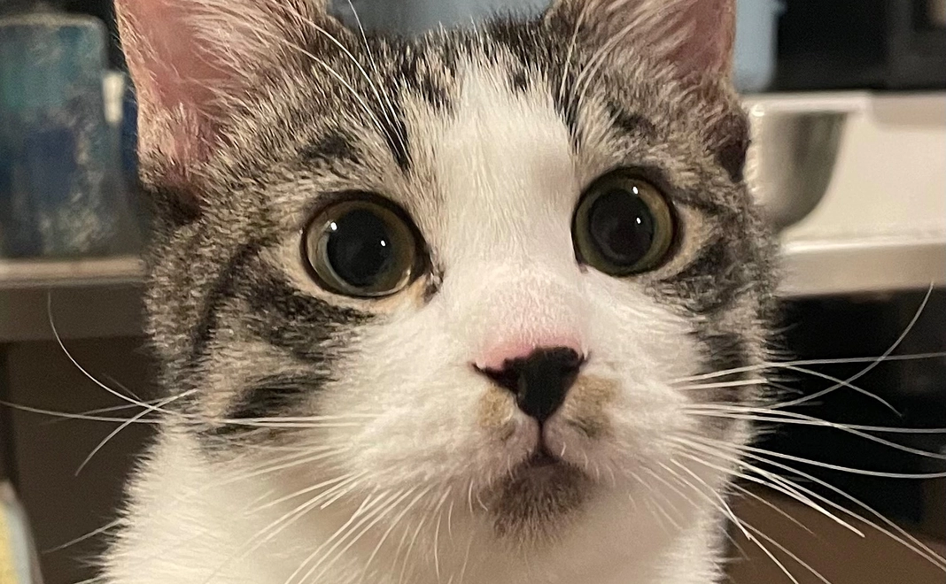 感謝のメールと経過報告