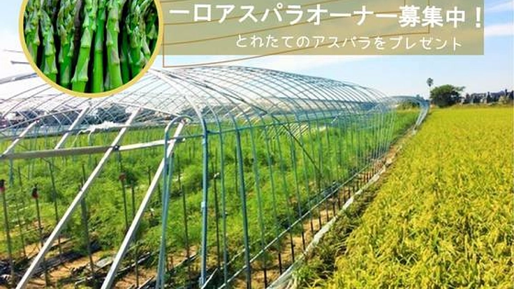 就農1年目に台風で倒壊したビニールハウスを建て直したい！