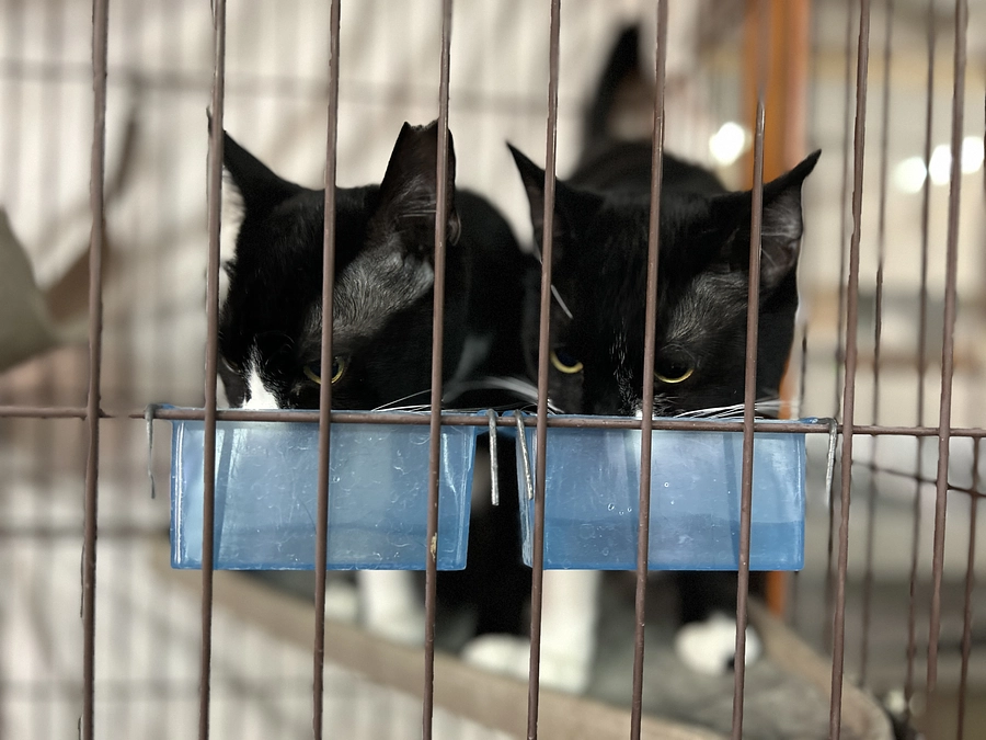 お礼　12月13日目標達成できました！