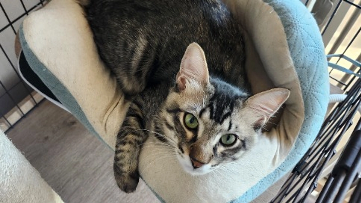 プロジェクト期限まで、あと1週間