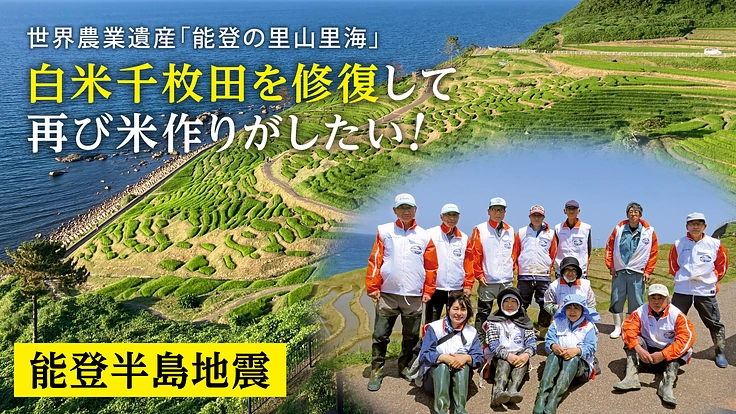 能登半島地震｜白米千枚田を修復し、再び米作りを。