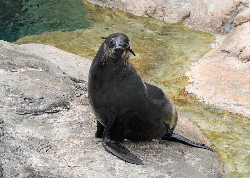 Twitterハッシュタグ企画始動！気軽にご参加ください！