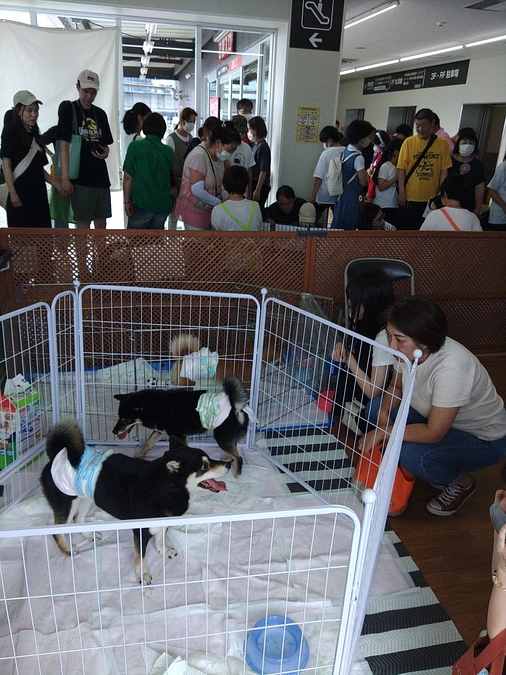 ★今日は譲渡会★