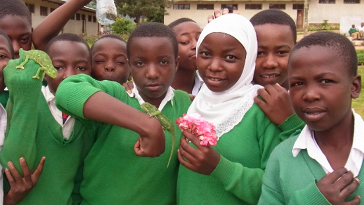 タンザニアの雇用機会を増やしたい。養鶏事業、はじめます！