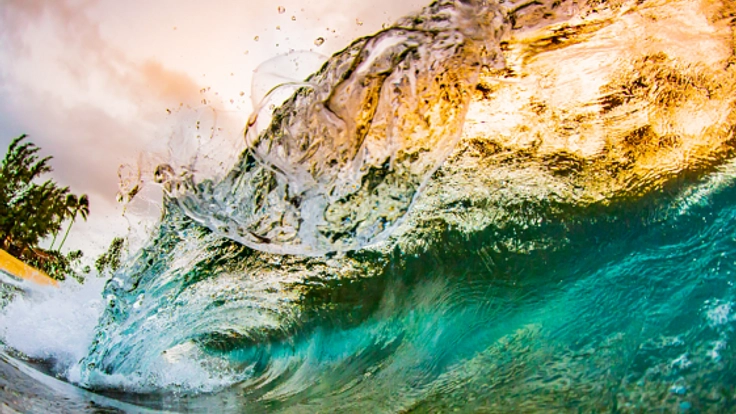 ハワイの海を後世に残すため、カメラマンの僕が今できることを