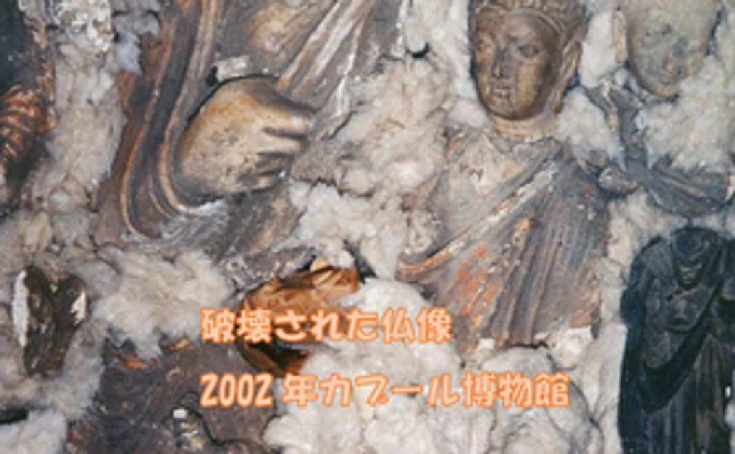 活動報告書をお届け