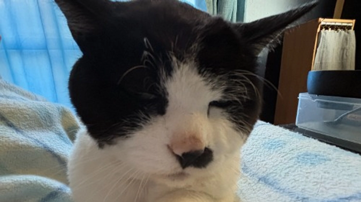 10月までの治療費