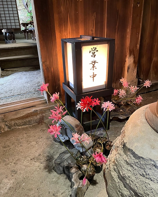 2023年秋　加茂荘花鳥園ではダイヤモンドリリー展を開催しています。