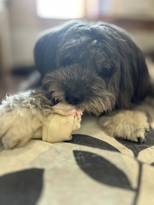 これからの大まかではありますが予定のお知らせ。