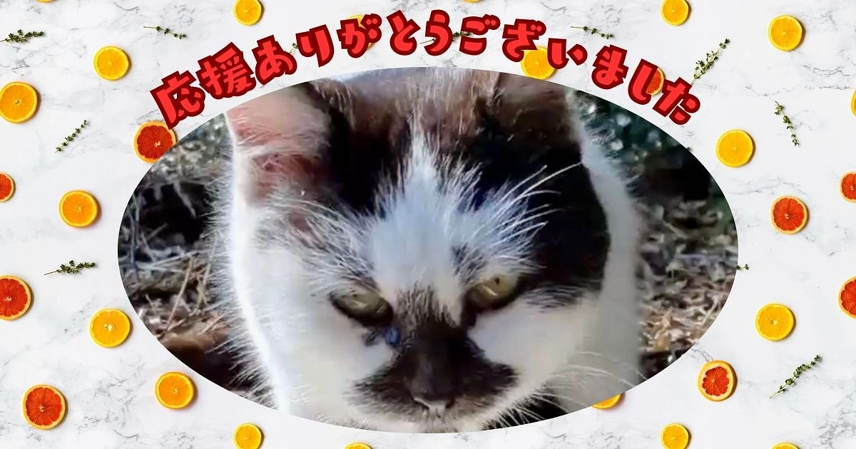 第7弾も無事成立いたしました！