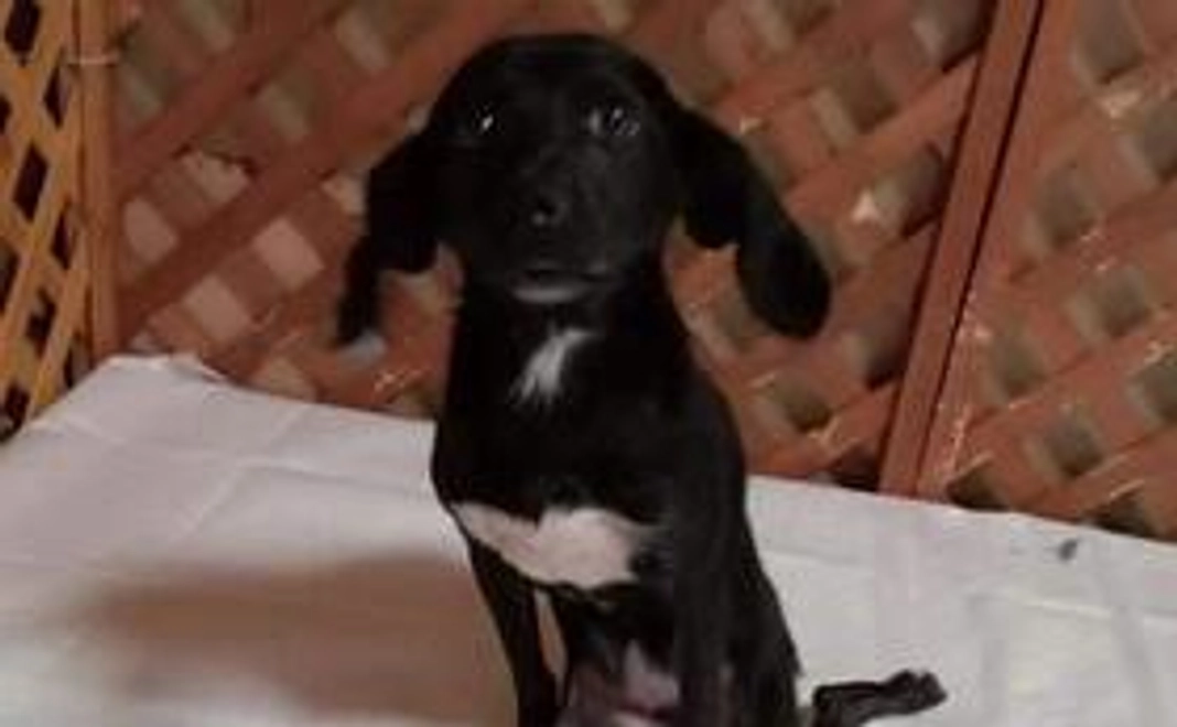 友達とバイキング！のおすそ分け〜食べ過ぎ注意〜