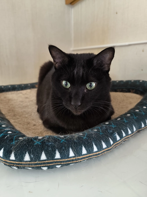 いつも応援ありがとうございます。