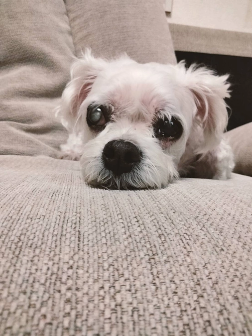 🎉13歳になりました🎉