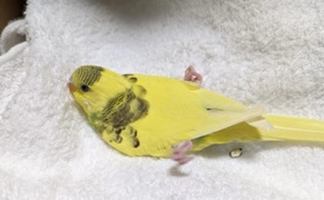 3000コース〜25人集まれば冷暖房確保!