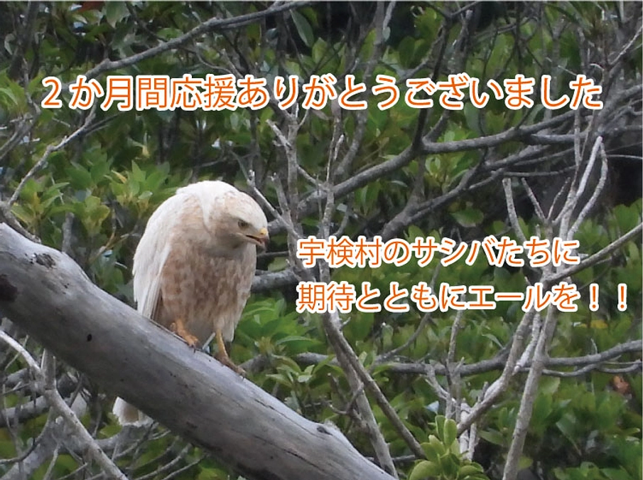 【御礼】2か月間応援ありがとうございました！