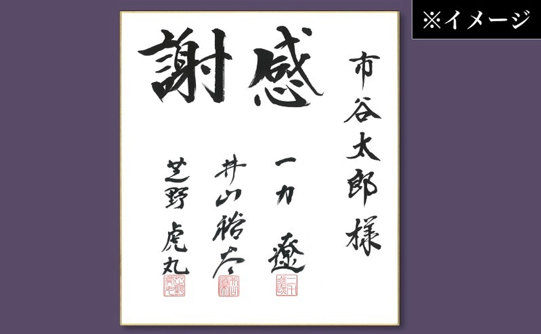 一力棋聖・井山王座・芝野十段の直筆署名入り 感謝色紙