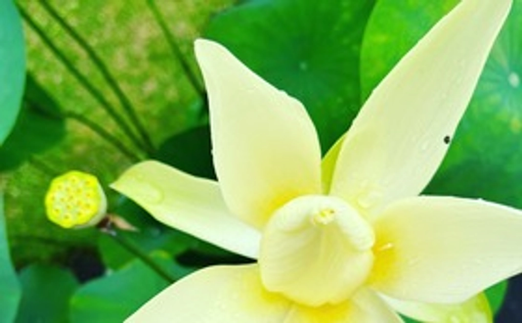 気軽に応援コース