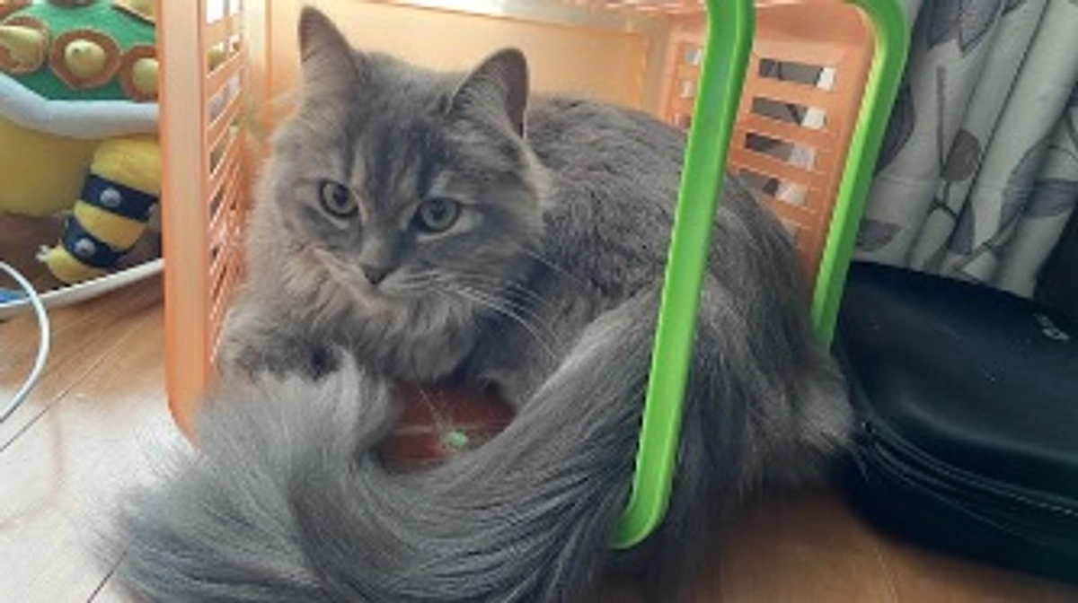 １０月３日　闘病３７日目