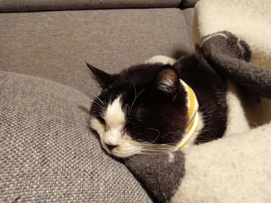 腫瘍外来、再発の可能性。。。