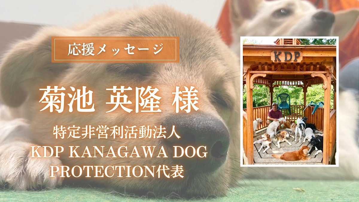 KDP KANAGAWA DOG PROTECTの菊池 英隆様からの応援メッセージのご紹介
