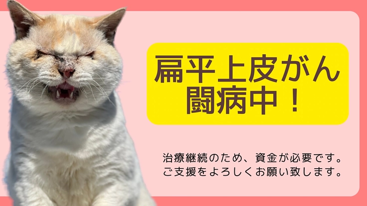 カフェオレにがん治療継続のためのご支援を