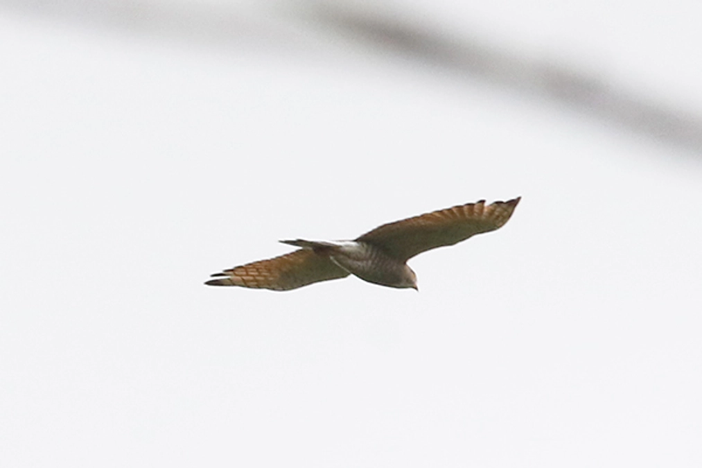 ヌエバビスカヤ州を訪問してきました