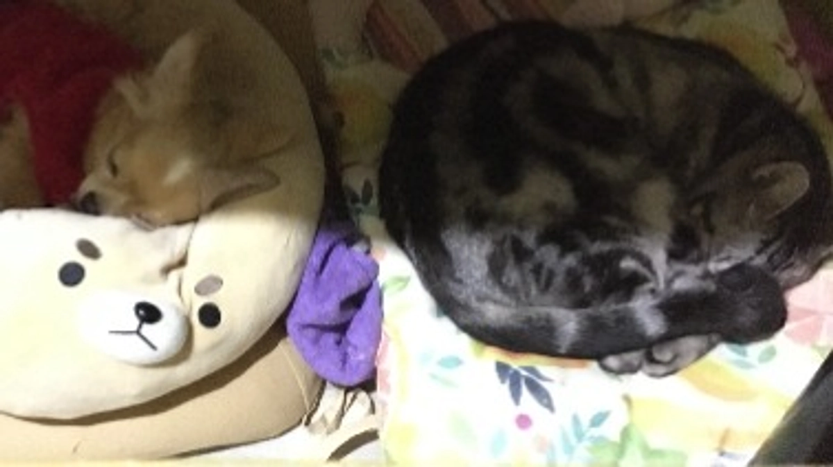 残り13日となりました。