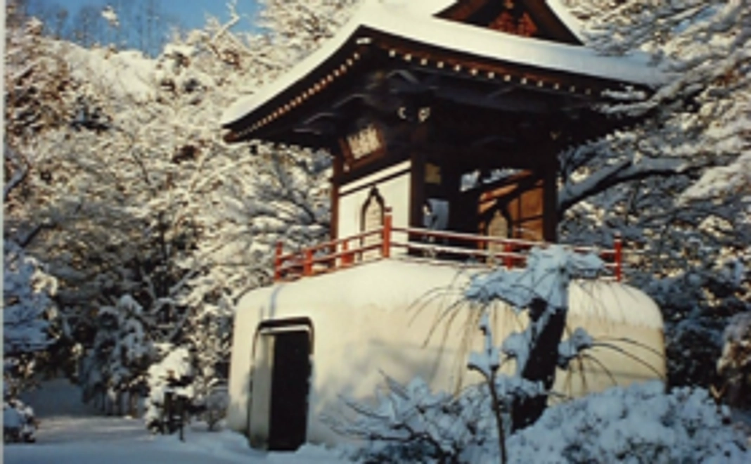 【全力応援プラン】あなたの応援が力になります！