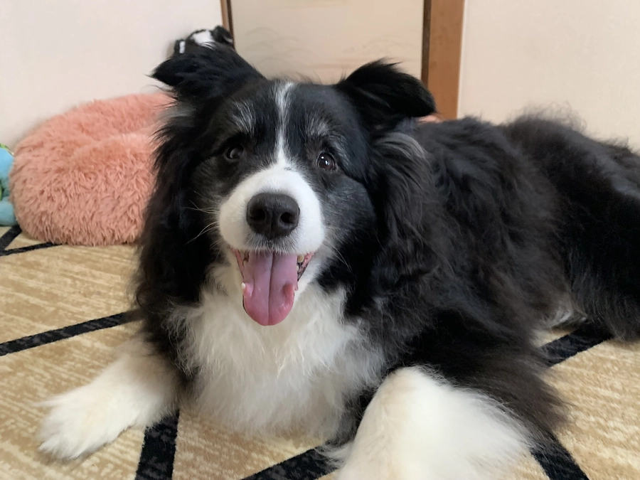 MRI検査、CT検査をしてきました。