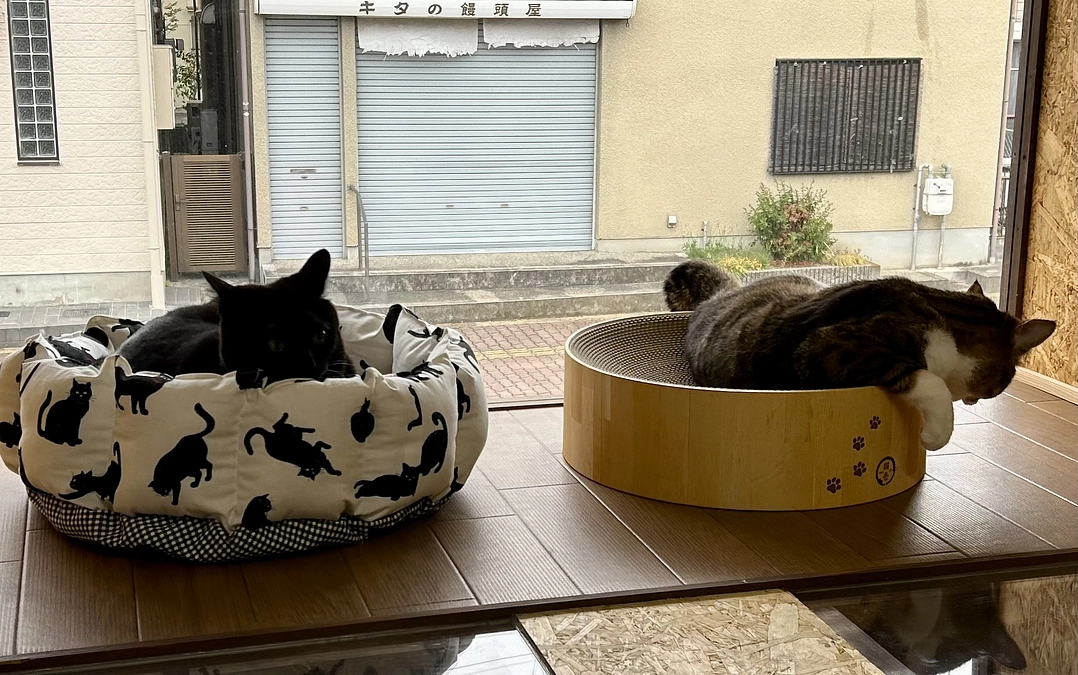 けこまち長屋の風景❤️