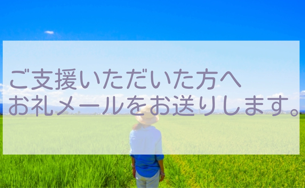 20000+システム利用料