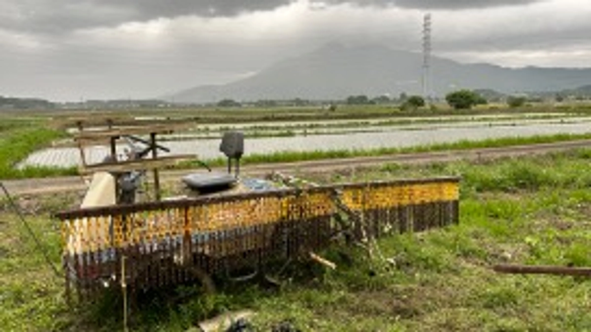二十四節気 立夏、七十二候 蛙始鳴(かわずはじめてなく)