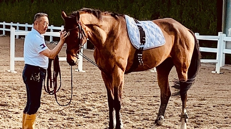 引退競走馬のセカンドキャリアを支援