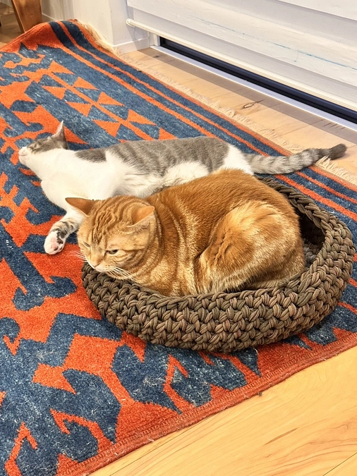 今夜、地元FMヤマトさんに生放送出演でーす