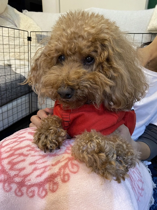 久々のお風呂とお散歩！