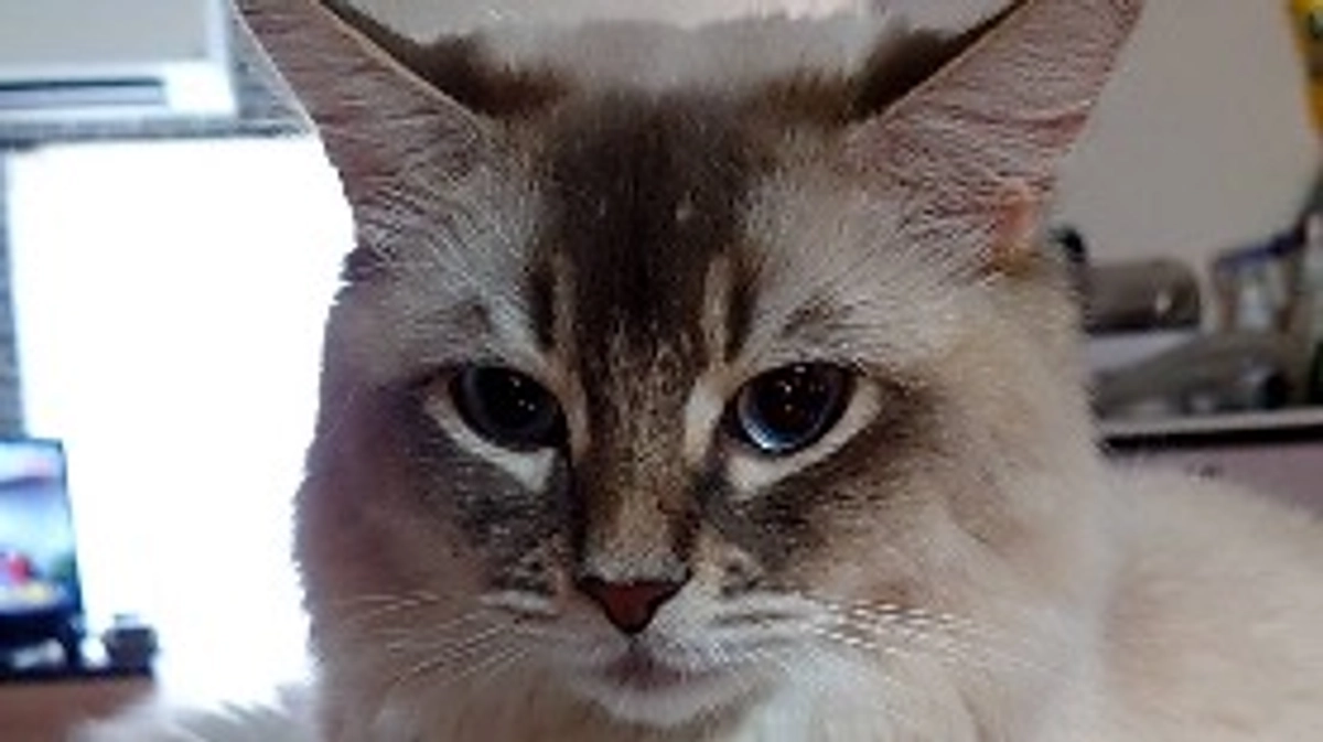 病院にいってきました。