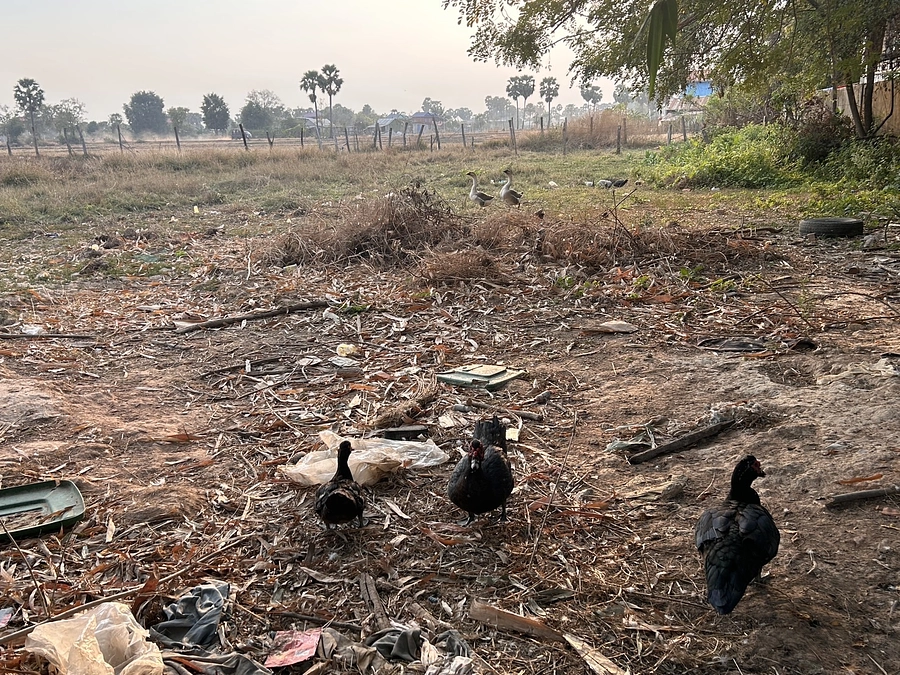 小さな行動が物事を動かすということ