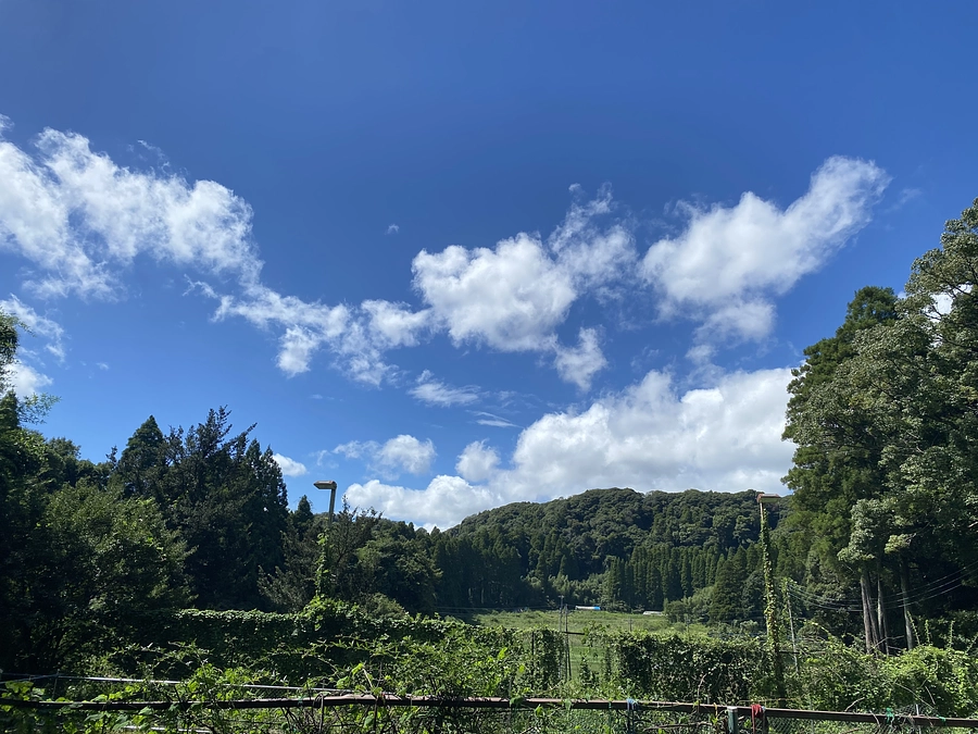 まだまだ日々台風の爪跡が残っております．。