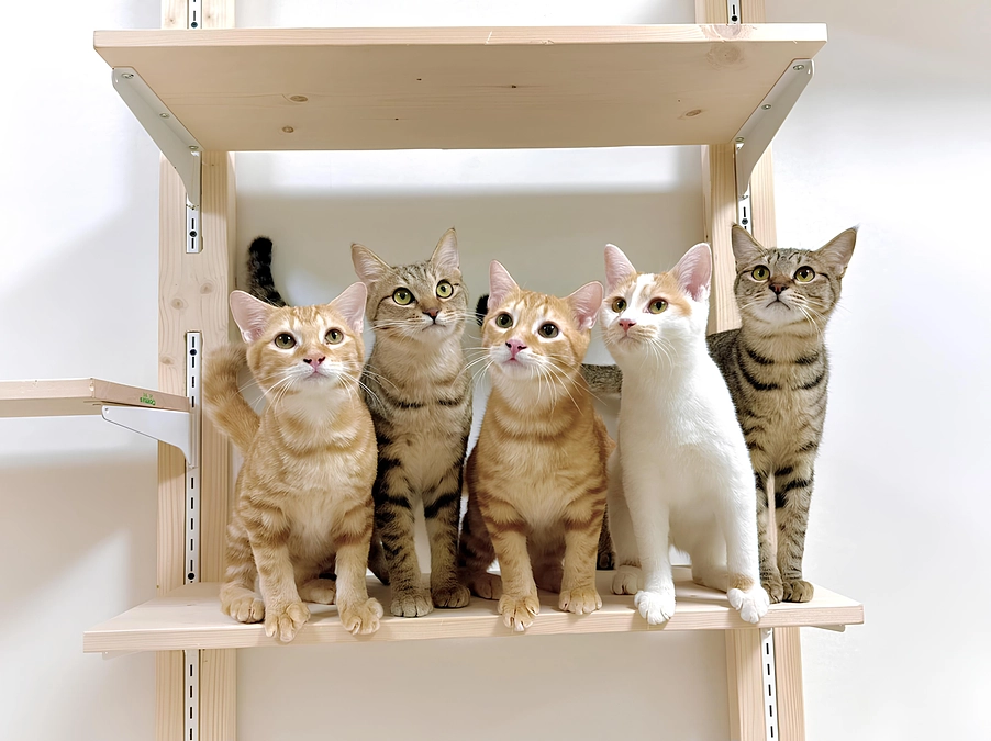 ご無沙汰しております。