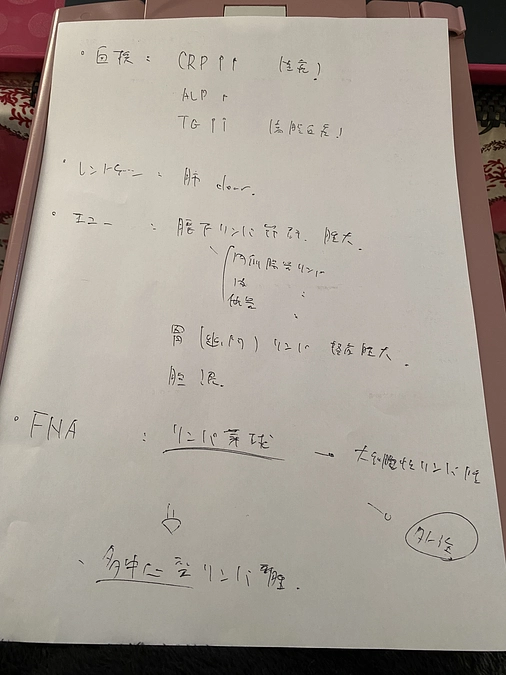 あと23日残りとなりました　今までの動物病院の領収書と腫瘍認定獣医のメモ書きデータです