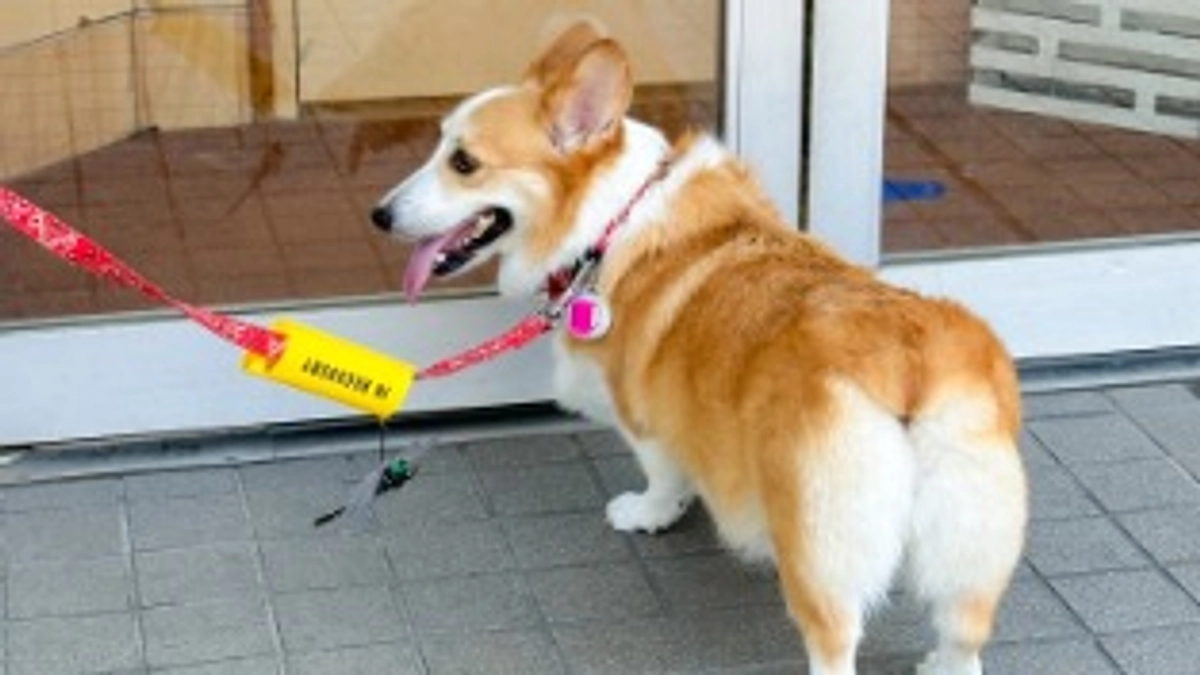 1クール後の経過報告