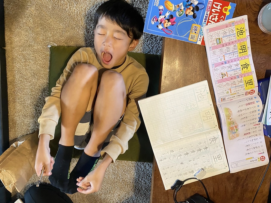 【残り10日！】改めて、ご支援よろしくお願いいたします。