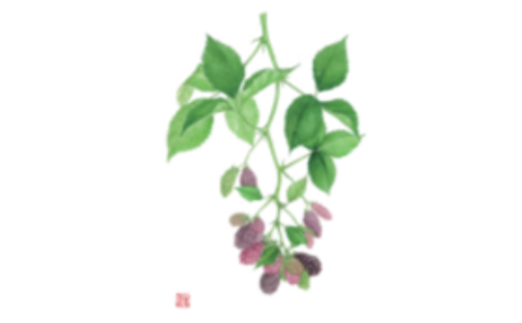 〜私が描いた水彩画のポスターをお贈りします〜